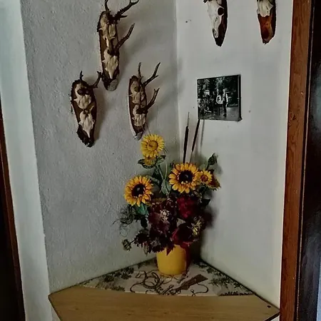 Apartment La Vecchia Fattoria Di Claudia Fb@das.alte.bauernhaus.von.claudia *